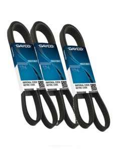 Pasek wielorowkowy napędu alternatorów Crossway