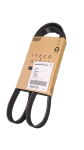 Pasek alternatora Crossway Euro6